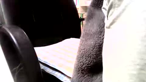 Peter online show from May 2026 06:21:03 AM