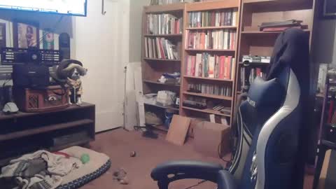 peterinohio57 online show from October 2025 11:43:02 AM