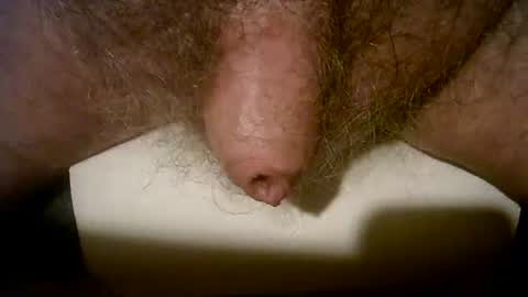 peterpeteropoulos online show from December 2024 09:24:02 PM