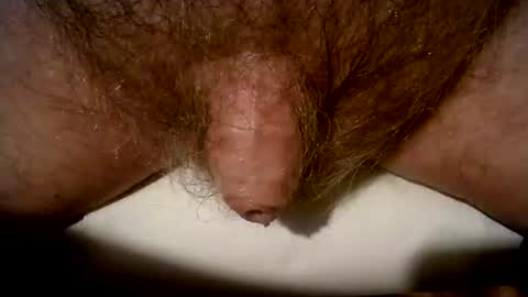 peterpeteropoulos online show from March 2025 09:08:02 PM