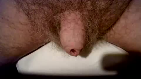 peterpeteropoulos online show from October 2025 06:37:01 PM