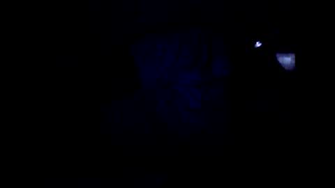 peterson1978 online show from June 2026 02:06:01 AM