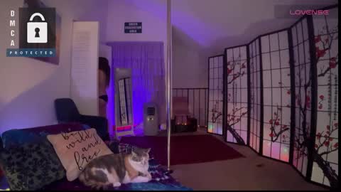 Jules online show from January 2025 10:50:01 AM