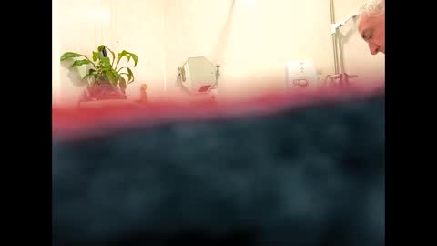 petrol63102 online show from February 2026 09:38:01 AM