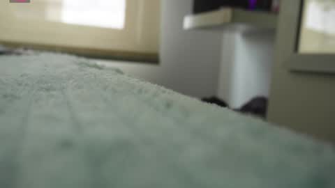 Snapshot of pettercat chatting on January 2025 06:24:02 PM Pettercat online show from January 2025 06:24:02 PM