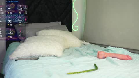 Snapshot of pettercat chatting on January 2025 04:30:02 AM Pettercat online show from January 2025 04:30:02 AM