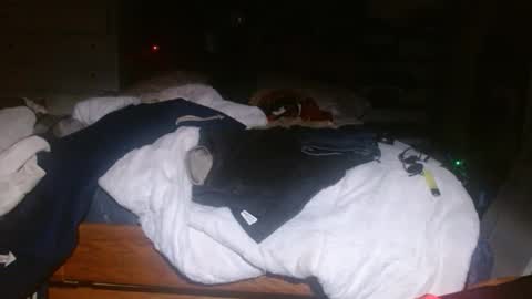 Snapshot of picklerick650 chatting on November 2025 02:25:01 AM picklerick650 online show from November 2025 02:25:01 AM