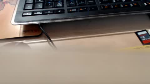 pier49x online show from September 2025 01:17:01 AM