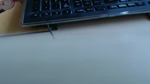 pier49x online show from April 2026 01:43:02 PM