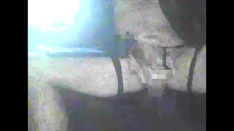 Snapshot of pigbear4trans chatting on January 2025 04:48:02 PM pigbear4trans online show from January 2025 04:48:02 PM