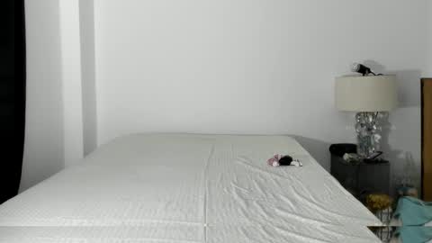 Snapshot of pikoro_gomez chatting on October 2025 01:06:02 AM pikoro_gomez online show from October 2025 01:06:02 AM