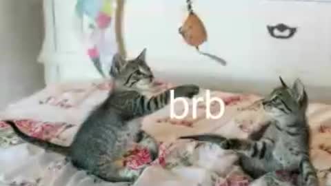 Snapshot of pink_girl0n chatting on June 2026 01:38:02 AM Kitty online show from June 2026 01:38:02 AM