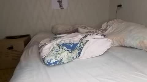 Pikachu pika online show from December 2024 12:07:02 AM