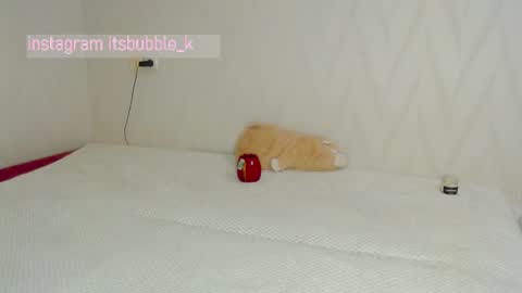 Pikachu pika online show from March 2025 11:00:02 PM