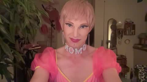 pinkfag online show from April 2026 07:04:02 PM