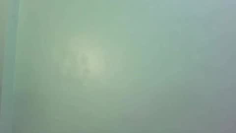 Hi  its me shine  online show from February 2025 11:17:02 AM