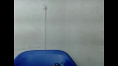 Snapshot of pinkxsugar chatting on September 2025 06:13:01 AM pinkxsugar online show from September 2025 06:13:01 AM