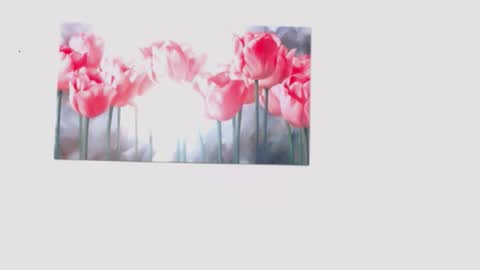 pinky_f00x online show from March 2026 07:57:02 PM