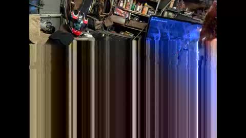 FuckUpayMe online show from February 2026 07:23:01 AM