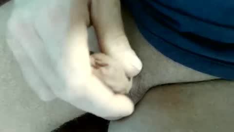 Snapshot of pippo2704 chatting on May 2026 09:16:01 PM pippo online show from May 2026 09:16:01 PM