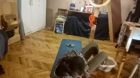 Dominik online show from December 2025 12:56:01 PM