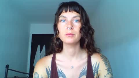 Snapshot of pixiecatfairy chatting on September 2025 01:23:02 PM pixiecatfairy online show from September 2025 01:23:02 PM