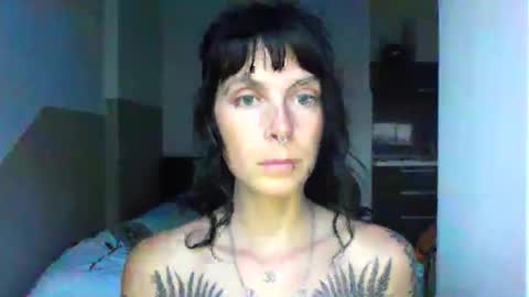 Snapshot of pixiecatfairy chatting on October 2025 03:45:02 PM pixiecatfairy online show from October 2025 03:45:02 PM