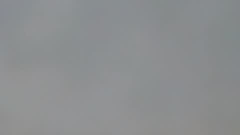 playboypetit online show from January 2025 09:41:01 PM