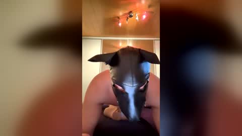 Snapshot of playdog123 chatting on June 2026 03:27:01 PM playdog123 online show from June 2026 03:27:01 PM