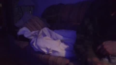 playerpleasure online show from April 2026 10:02:01 AM