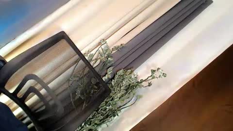 kate online show from March 2026 05:01:02 AM