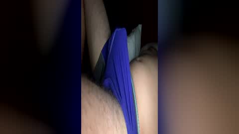 playgroundplayme online show from June 2026 02:33:01 AM