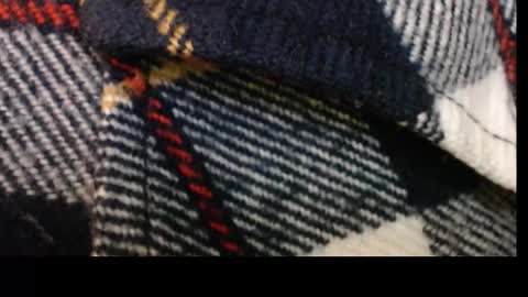 Snapshot of pllkgh45ymn chatting on September 2025 04:40:01 PM pllkgh45ymn online show from September 2025 04:40:01 PM