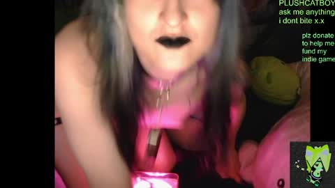 plushcatboy online show from April 2026 04:24:02 AM