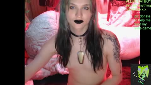 plushcatboy online show from April 2026 04:08:02 AM