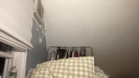 stariette online show from February 2026 02:08:02 AM