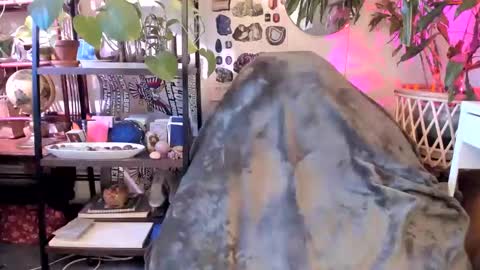 Goddess Pluto online show from January 2025 08:07:01 PM