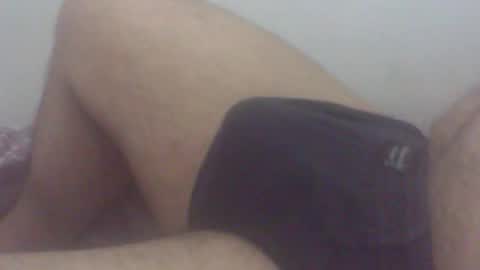 Snapshot of pol2023 chatting on November 2025 03:06:01 AM pol2023 online show from November 2025 03:06:01 AM