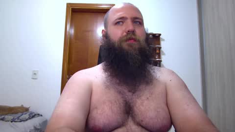 Bear online show from February 2025 06:24:02 AM