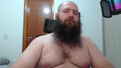 Bear online show from February 2025 02:04:01 AM