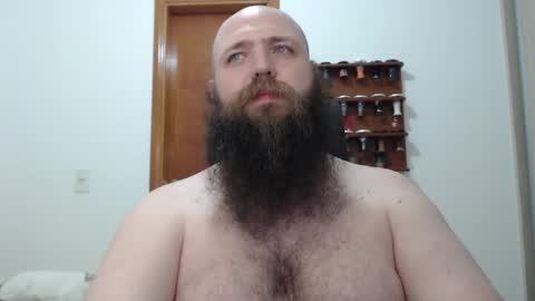Bear online show from February 2025 02:33:02 AM