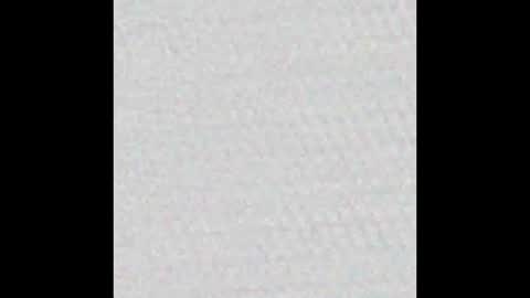 Polly online show from March 2025 12:26:01 PM