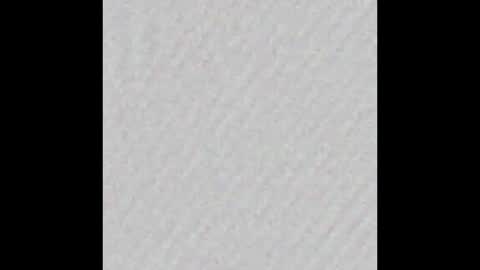 Polly online show from February 2026 06:41:02 AM