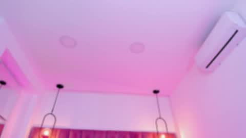 POLLY online show from February 2026 10:16:01 AM