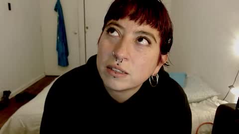 Poly online show from January 2026 01:19:01 AM