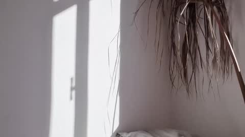 Snapshot of polynessia chatting on October 2025 06:27:02 AM Polina online show from October 2025 06:27:02 AM