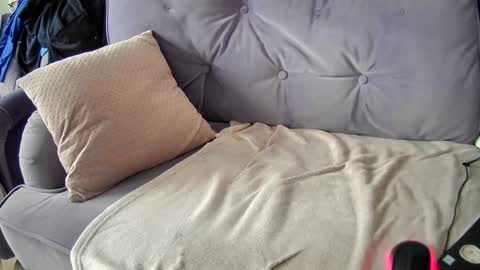 Snapshot of pomara1 chatting on February 2025 08:11:02 AM Mark online show from February 2025 08:11:02 AM