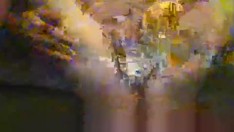 portal3444 online show from November 2025 08:35:02 PM