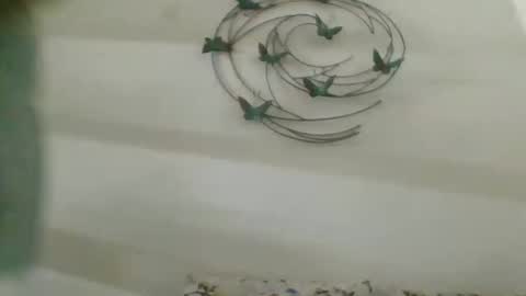 Snapshot of praveen100797 chatting on October 2025 11:17:01 AM praveen100797 online show from October 2025 11:17:01 AM