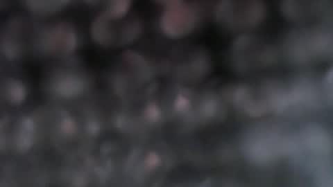 Snapshot of pregnantsinglesugar chatting on September 2025 02:29:02 PM WELCOME IM SINGLE PREGNANT REALLY HARD TO BE A SINGLE WITH TWIN SO PLS STOP BEING RUDELIARWASTING TIME. BE CONSIDERATE. TNX online show from September 2025 02:29:02 PM